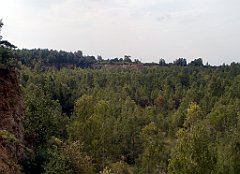 IMG_x18064_X44_P09010630_cr