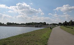 IMG_x19109_cr