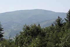 IMG_x26468_cr