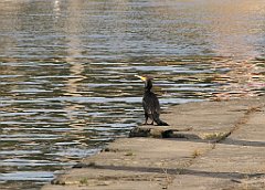 2012-07-02_19-24-01_IMG_x27206_cr