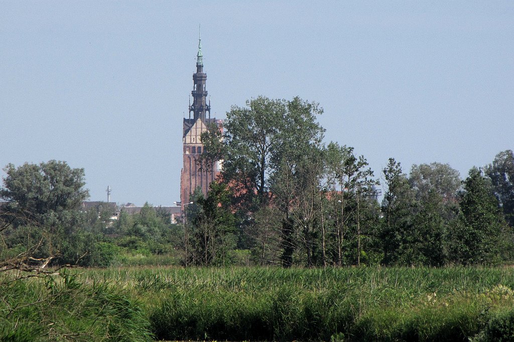 2012-07-02_09-07-41_IMG_x26744_cr.jpg -                                