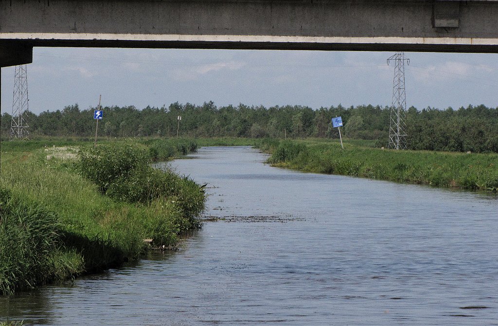 2012-07-02_10-22-39_IMG_x26828_cr.jpg -                                