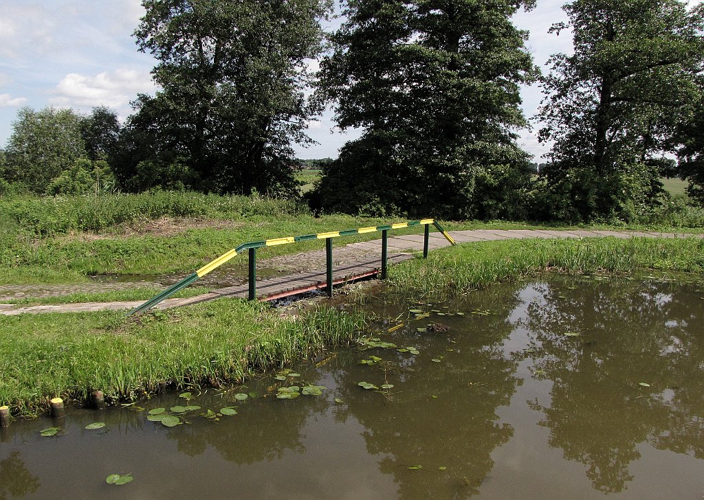 2012-07-02_11-08-37_IMG_x26913_cr.jpg -                                