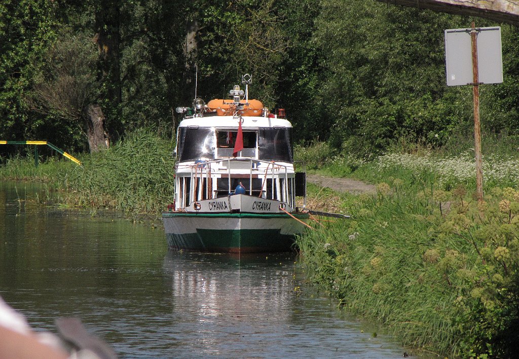 2012-07-02_11-12-53_IMG_x26925_cr.jpg -                                