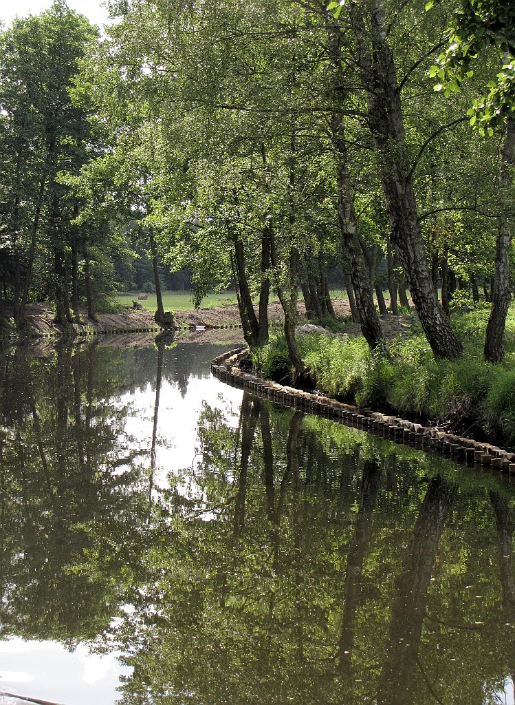 2012-07-02_15-25-58_IMG_x27074_cr.jpg -                                