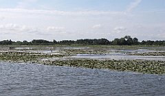 2012-07-02_09-23-29_IMG_x26753_cr