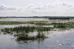 2012-07-02_09-30-33_IMG_x26797_cr