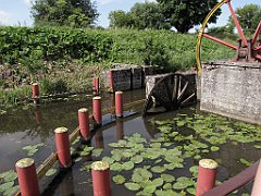 2012-07-02_10-44-03_IMG_x26842_cr