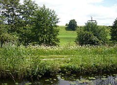 2012-07-02_11-43-54_P1060116_cr