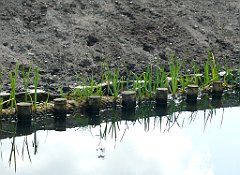 2012-07-02_15-26-04_P1060144_cr