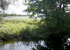 2012-07-02_16-19-01_P1060151_cr