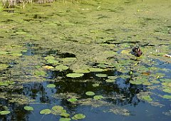 2012-07-02_16-30-33_P1060154_cr