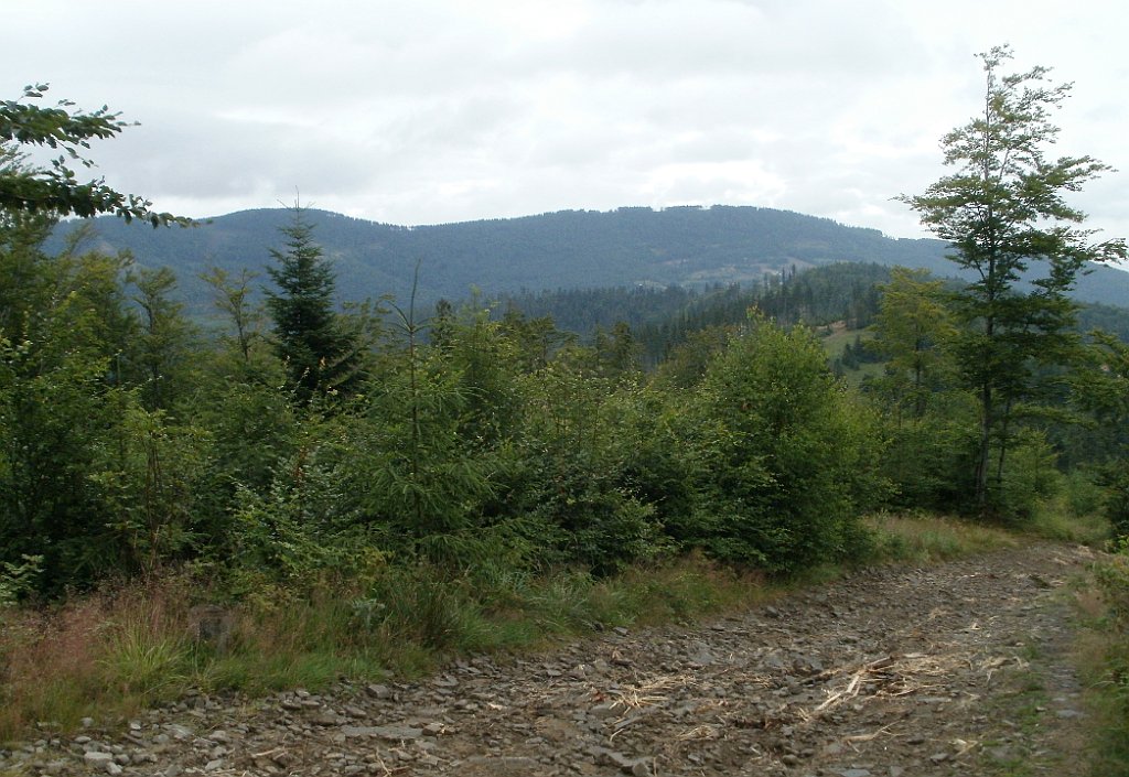 X44_P07130165_cr.jpg - OLYMPUS DIGITAL CAMERA         