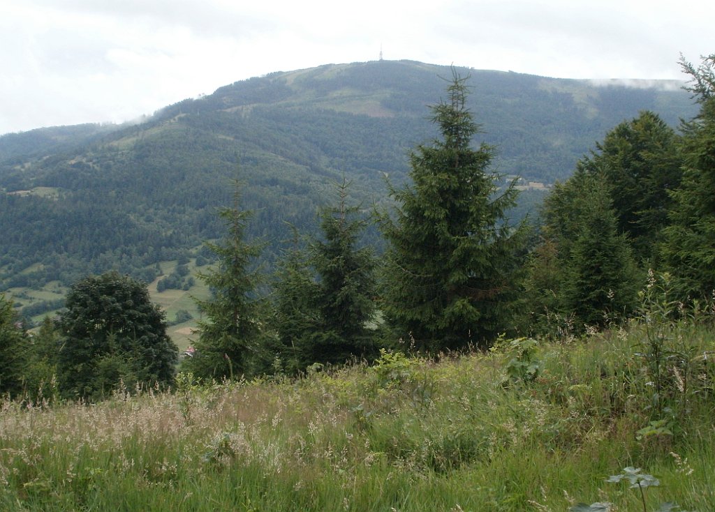 X44_P07130175_cr.jpg - OLYMPUS DIGITAL CAMERA         