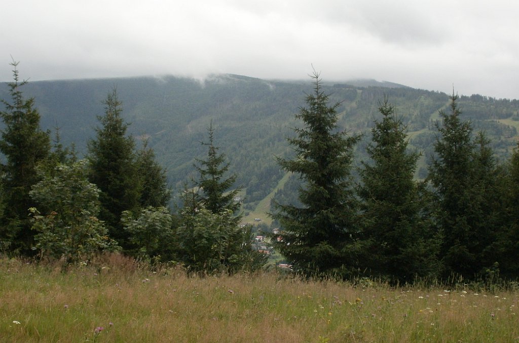 X44_P07130197_cr.jpg - OLYMPUS DIGITAL CAMERA         