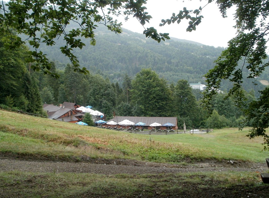 X44_P07130207_cr.jpg - OLYMPUS DIGITAL CAMERA         