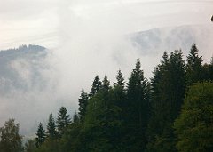 IMG_x28736_X44_P07300005_cr