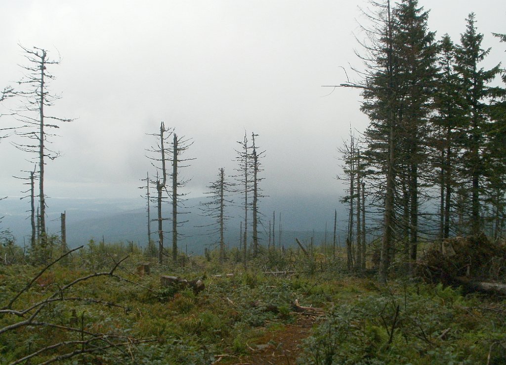 IMG_x29814_X44_P08150254_cr.jpg - OLYMPUS DIGITAL CAMERA         