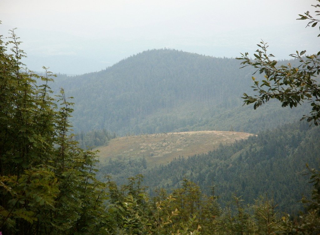 IMG_x29814_X44_P08150271_cr.jpg - OLYMPUS DIGITAL CAMERA         