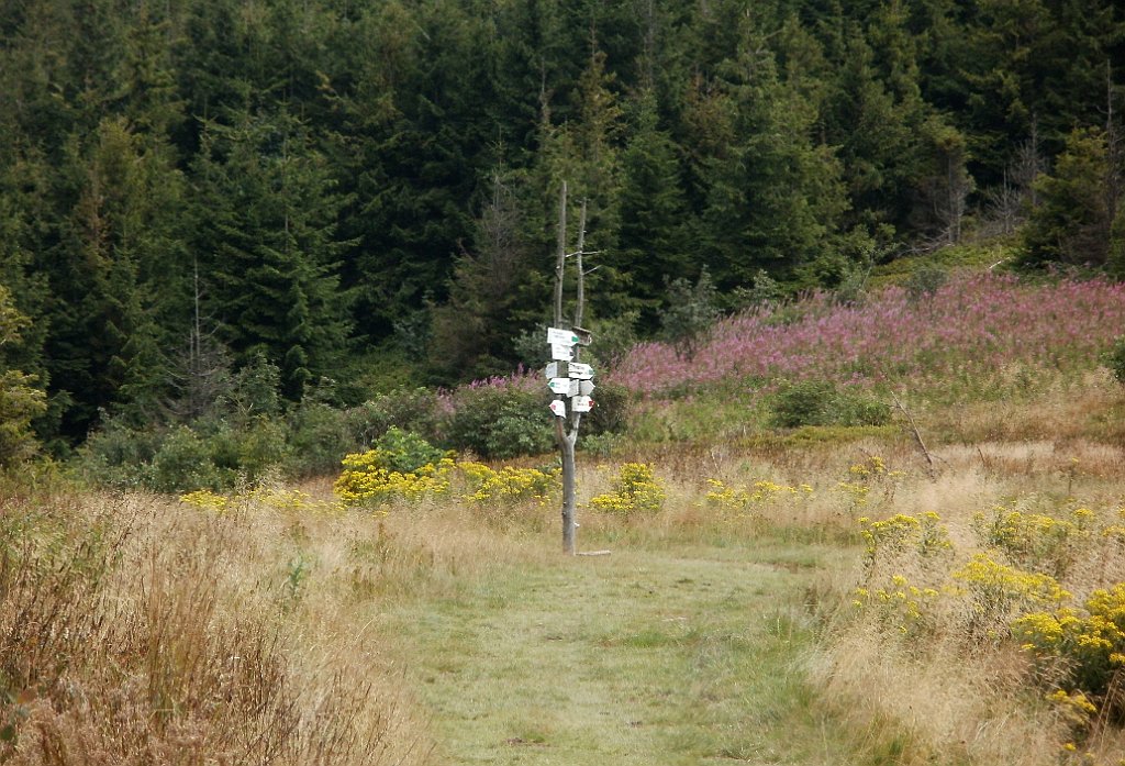 IMG_x29814_X44_P08150295_cr.jpg - OLYMPUS DIGITAL CAMERA         