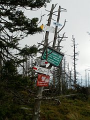 IMG_x29814_X44_P08150265_cr