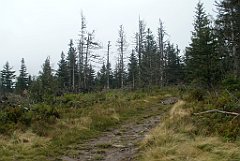 IMG_x29814_X44_P08150267_cr