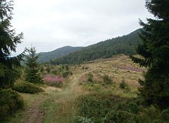 IMG_x29814_X44_P08150282_cr