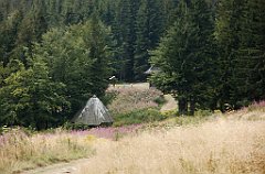 IMG_x29814_X44_P08150309_cr