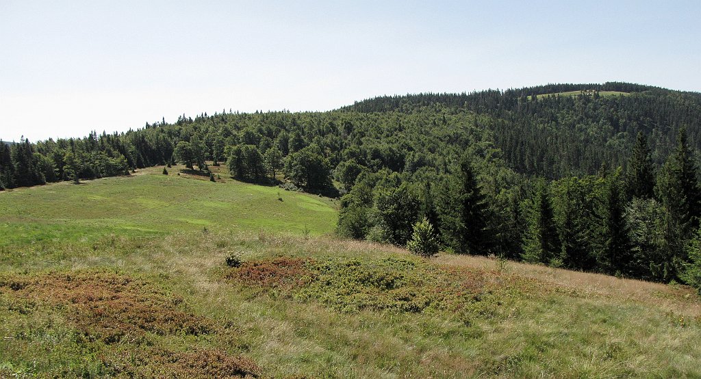 IMG_x30347a_cr.jpg -                                