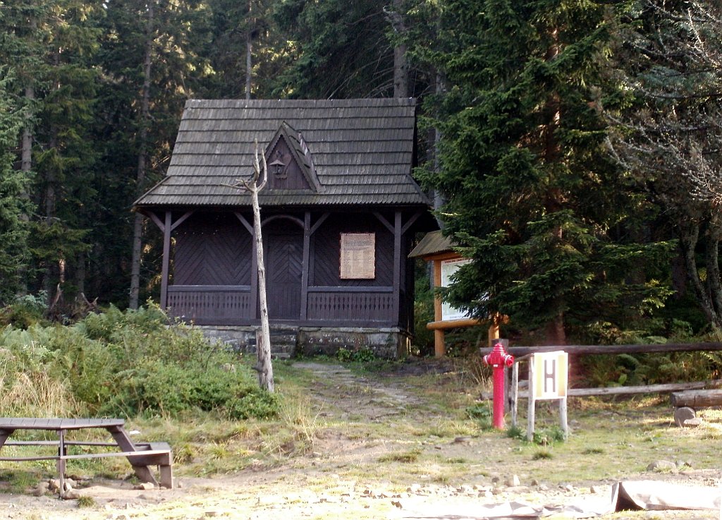 X44_P08230334_cr.jpg - OLYMPUS DIGITAL CAMERA         