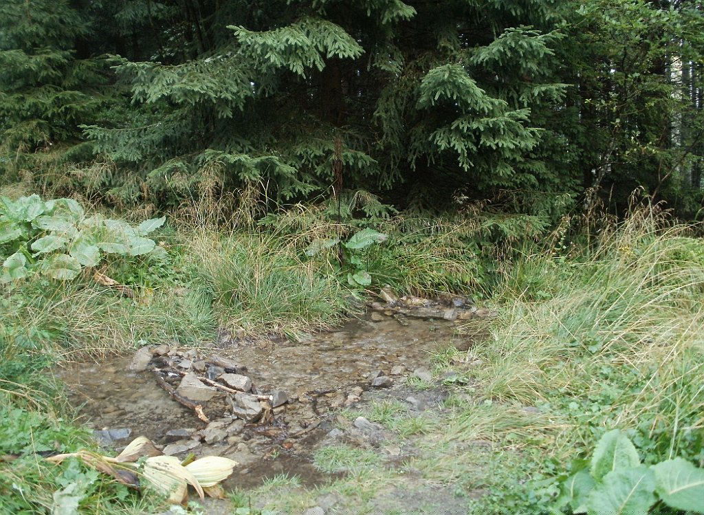 X44_P08230339_cr.jpg - OLYMPUS DIGITAL CAMERA         