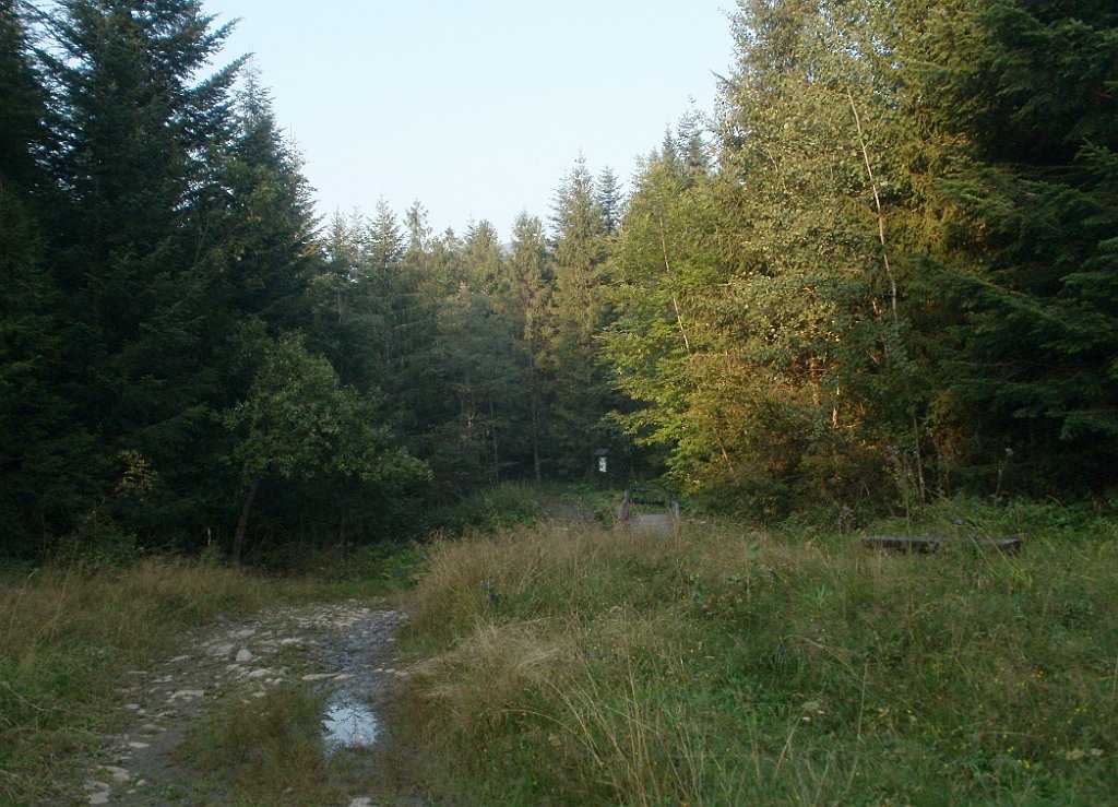 X44_P08230350_cr.jpg - OLYMPUS DIGITAL CAMERA         