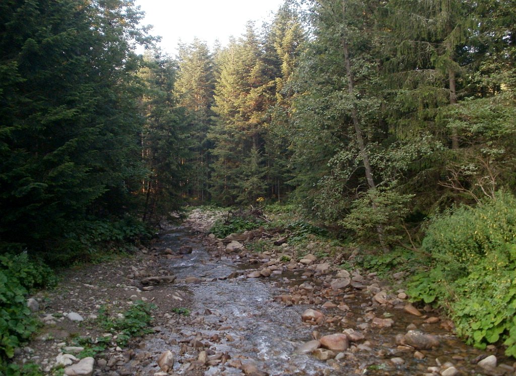 X44_P08230352_cr.jpg - OLYMPUS DIGITAL CAMERA         