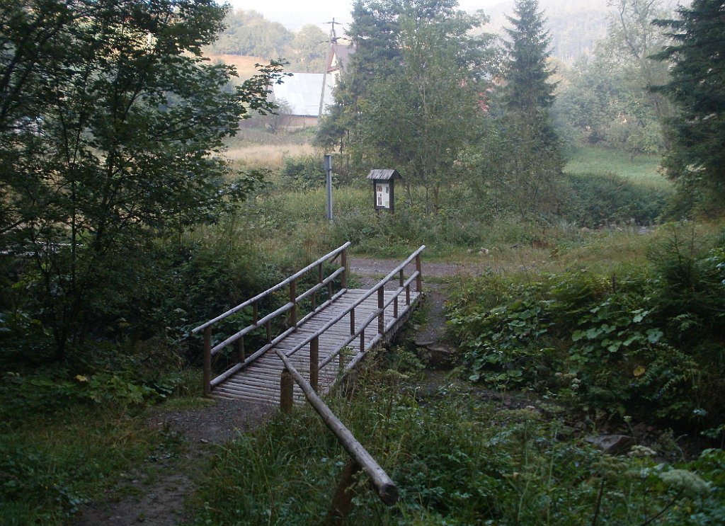 X44_P08230355_cr.jpg - OLYMPUS DIGITAL CAMERA