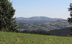 IMG_x31772_cr