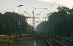 IMG_x33700_X44_P09230842_cr