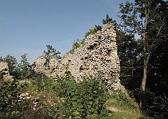 2012_08_22_Smolen_Ryczow