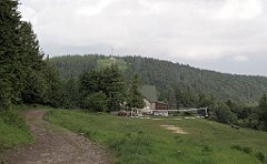 IMG_x40099_cr