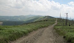 IMG_x40312_cr