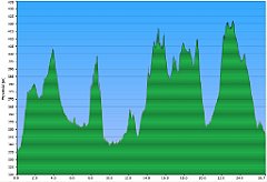 2013_07_17w_Mirow_Lesniow