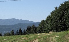 137_IMG_x41620_cr