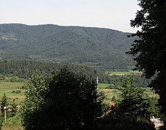 180_IMG_x41682_cr