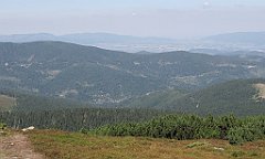 IMG_x43954_cr