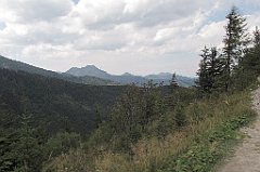 IMG_x44371_cr