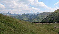 IMG_x44571_cr