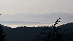 034_IMG_x44952_cr