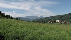 107_IMG_x47056_cr