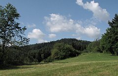 100_IMG_x47591_cr