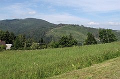 IMG_x47948_cr