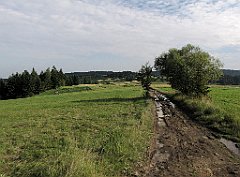 076_IMG_x49189_cr